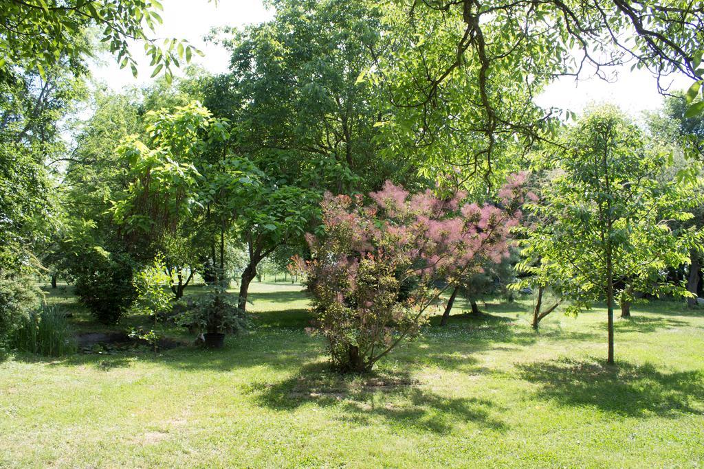 Holiday Home Melinda Ceglédpuszta Zewnętrze zdjęcie